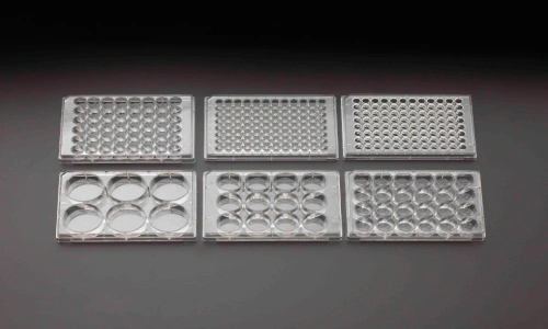 Difference Shapes Of 96 Well Cell Culture Plates